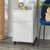 Wenz 2 Drawer Contemporary File Cabinet White - Buylateral -Living Room Furniture Store GUEST 0dc03a2b c544 4f4a 9901 25b8048b3307