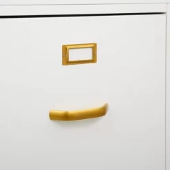 Dixie 2 Drawer Cabinet Green - Buylateral -Living Room Furniture Store GUEST 9e9469de 446f 4532 8c80 36462f11c814