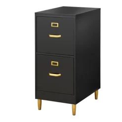 Dixie 2 Drawer Filing Cabinet - Buylateral -Living Room Furniture Store GUEST a6c30278 e9d2 483a b366 845bb9afa6b5
